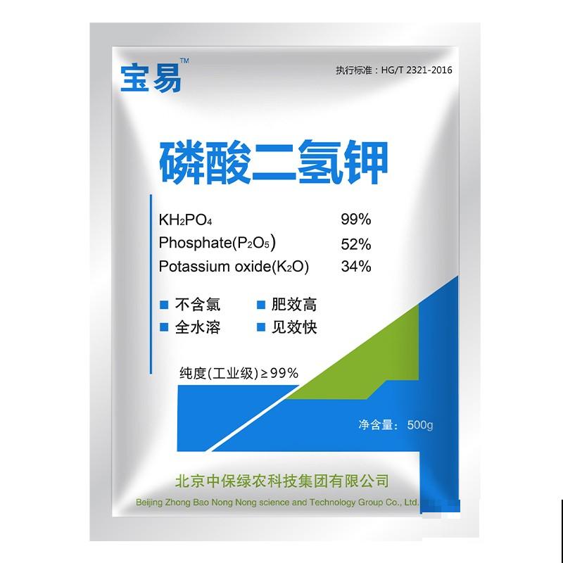 土里埋个“蒜头”，半个月蹿出壮枝条，俩月开出“香水花”