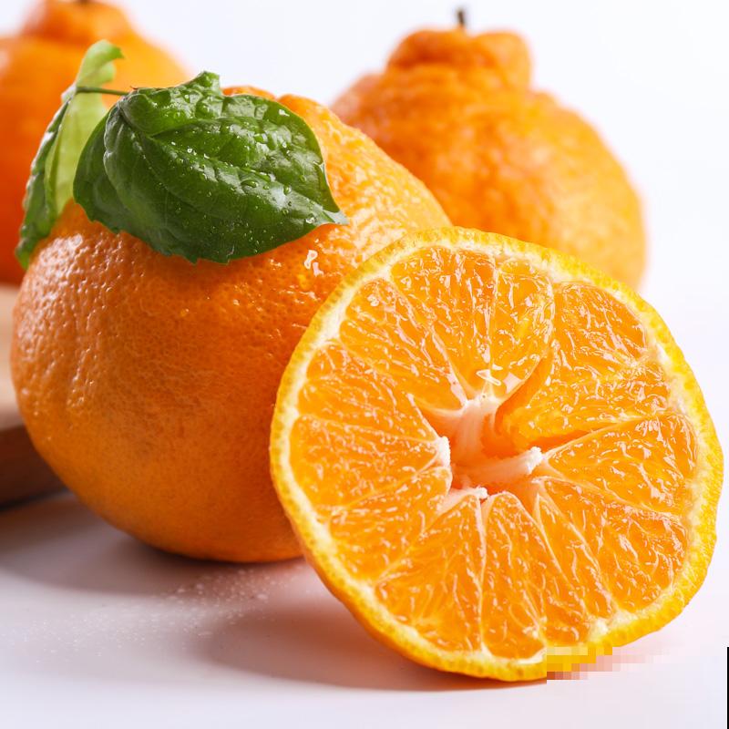 常见的“黄金果”,养在家里金灿灿,还有喜庆招财好兆头 常见的“黄金果”,养在家里金灿灿,还有喜庆招财好兆头