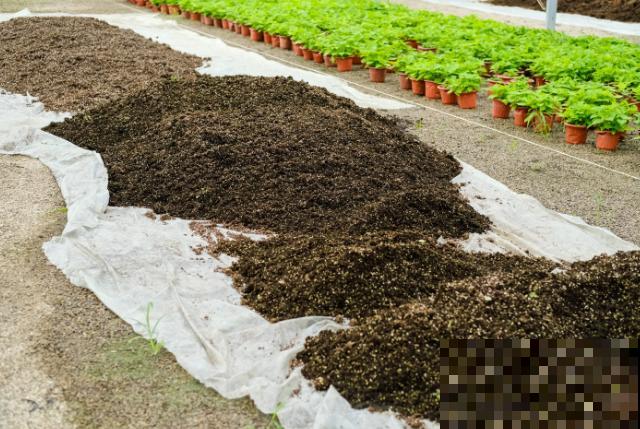 养花用的泥炭土，又叫草炭土，用来养花效果好