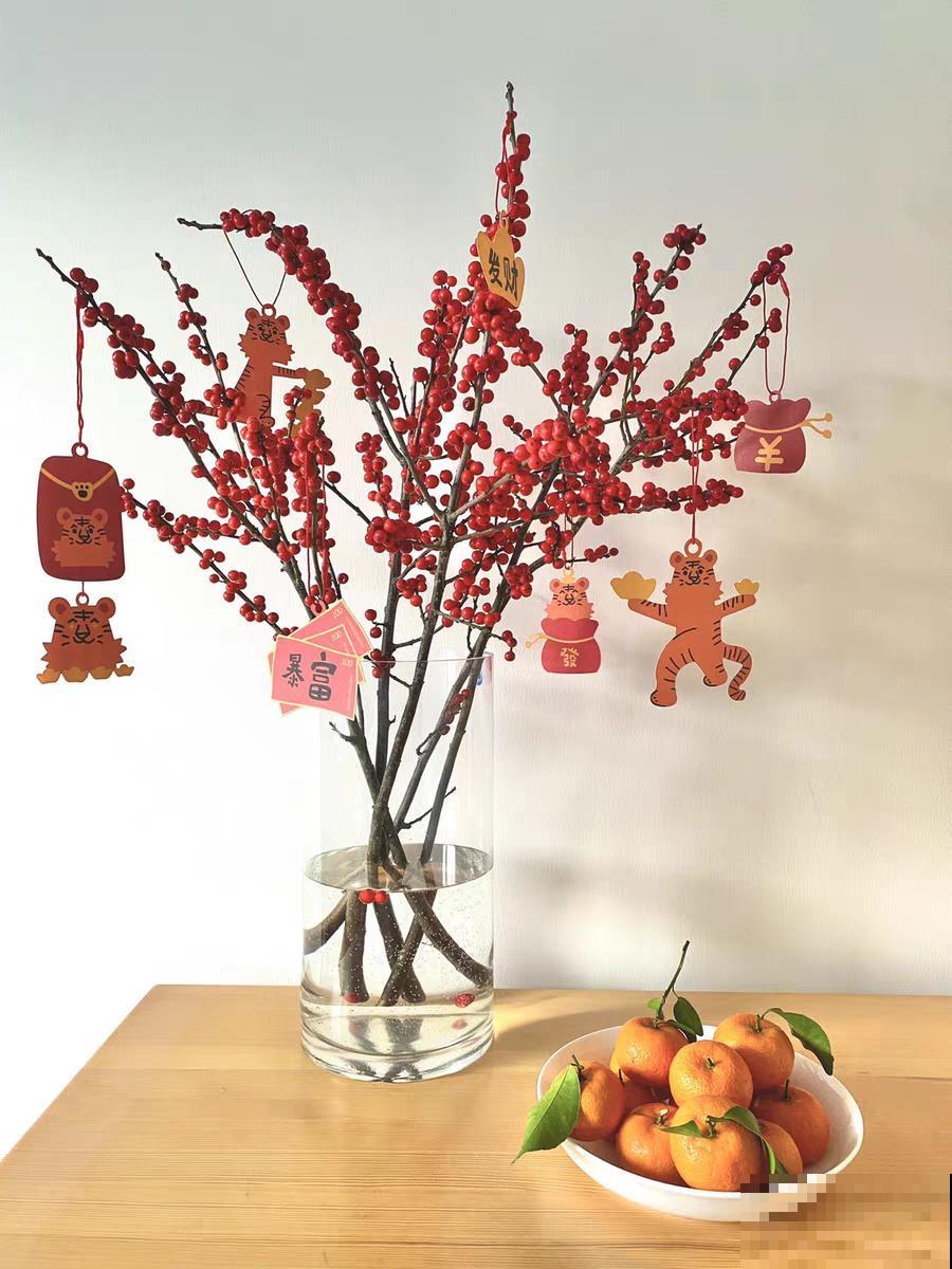 家里养盆北美冬青,红红火火,财源广进 家里养盆北美冬青,红红火火,财源广进