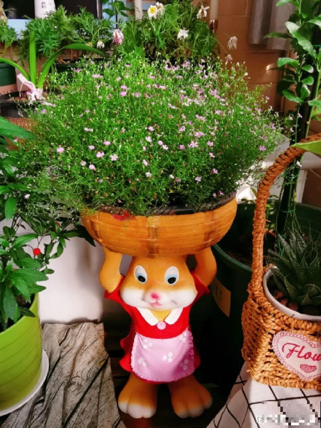 “香花卧室放，花旺人不旺”，老祖宗的良言，大有道理！