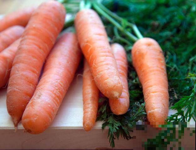 种植胡萝卜，注意好时间和这3点方法，甜甜的胡萝卜轻松种出