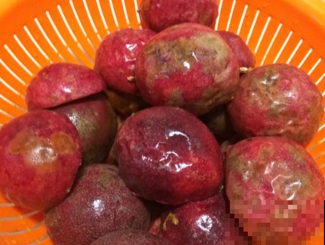 百香果开花不结果，主要和这4点有关，学会后轻松解决