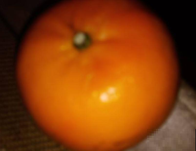 常见的“黄金果”,养在家里金灿灿,还有喜庆招财好兆头 常见的“黄金果”,养在家里金灿灿,还有喜庆招财好兆头