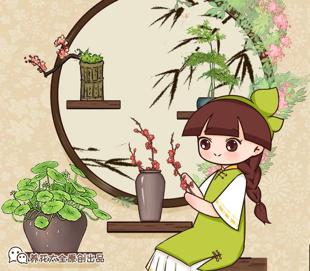 花中四君子，品格高尚似君子，你家养了几种？