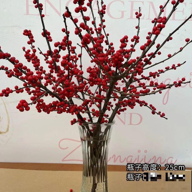 家里养盆北美冬青,红红火火,财源广进 家里养盆北美冬青,红红火火,财源广进