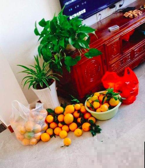 草莓疯狂涨价,却不是应季水果,4种平价水果才“香” 草莓疯狂涨价,却不是应季水果,4种平价水果才“香”