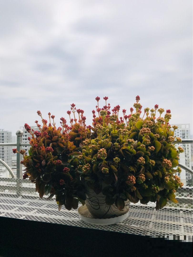 要想身体健康，5个禁忌你别做，春天一定要注意