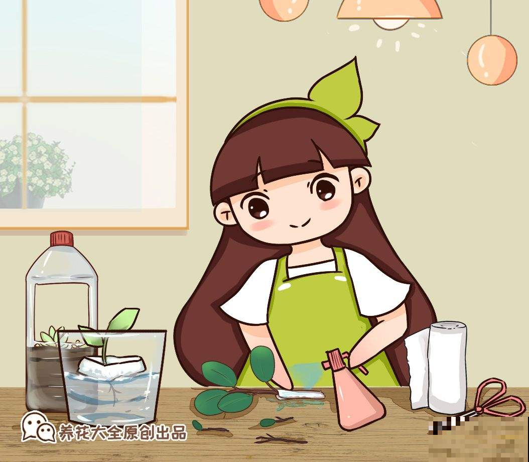 扦插一直不生根，1张卫生纸就搞定，呼呼冒出“狗牙根”