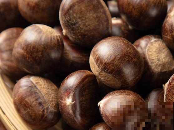 板栗树进行修剪,这4步要知道,才能多结果 板栗树进行修剪,这4步要知道,才能多结果