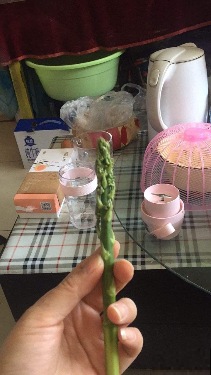 芦笋种1次，能吃十几年，比摇钱树还要划算