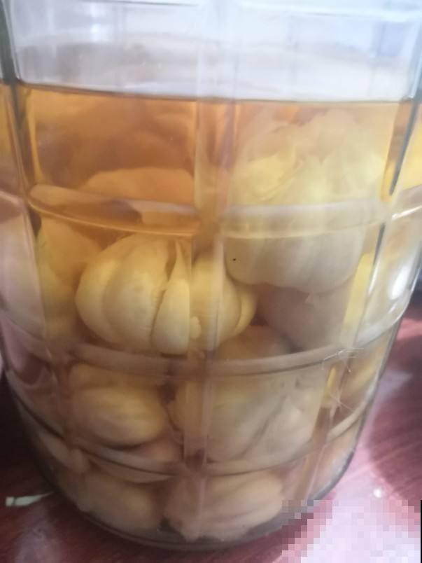 土里埋个蒜瓣，3天出芽，半个月长蒜苗，养花也好用