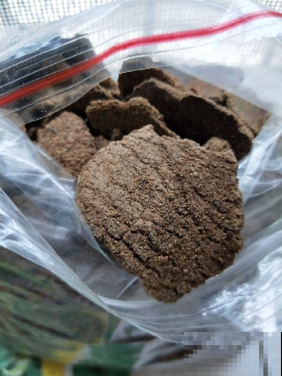 有花最爱喝“酸酸水”,喝一点爆花就更猛 有花最爱喝“酸酸水”,喝一点爆花就更猛