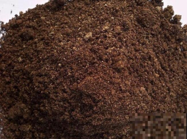 种花土杀虫杀菌,可以采用这4个办法,效果好 种花土杀虫杀菌,可以采用这4个办法,效果好