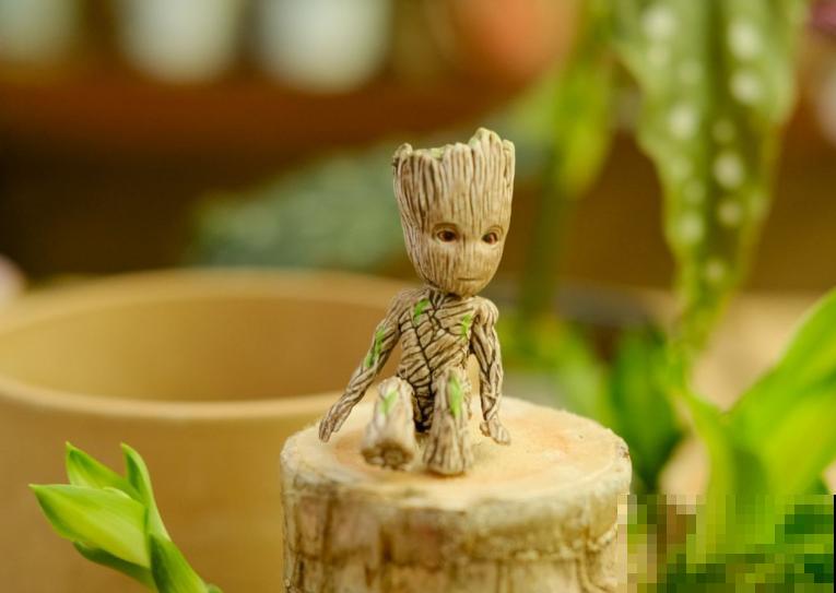 家里的巴西木臭了，还能养活吗？4步处理方式没问题