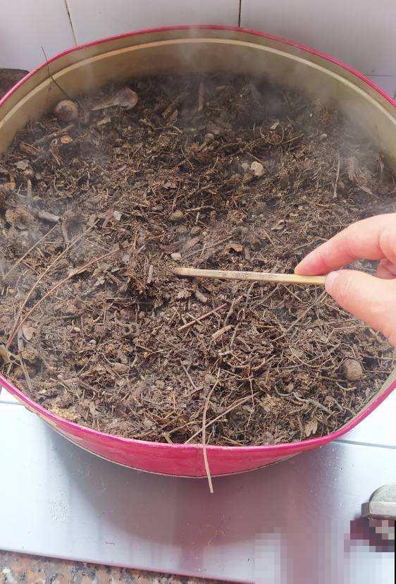 省钱的养花技巧,养花成本减半,你都知道几个? 省钱的养花技巧,养花成本减半,你都知道几个?