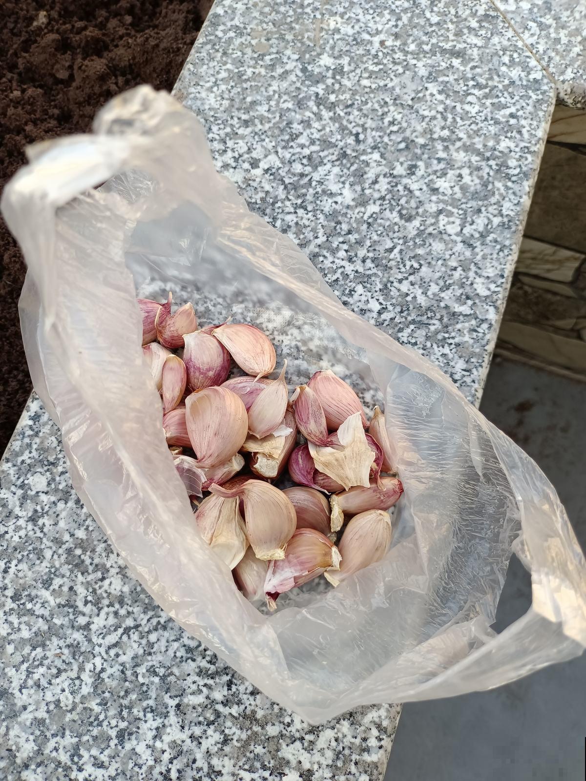 想成为养花高手,只需记住4个养花技巧,一般人我不告诉 想成为养花高手,只需记住4个养花技巧,一般人我不告诉