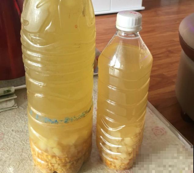 吃完的柚子皮不要扔，学会这3点发酵步骤，施肥不用买