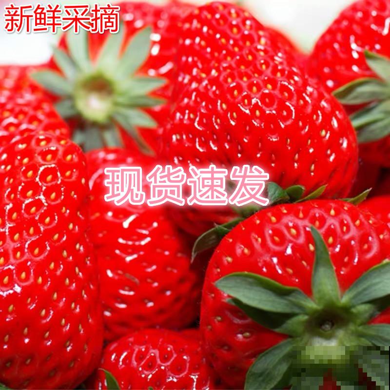 网购草莓苗老是种不活，主要和这4点有关，注意养殖方式没问题