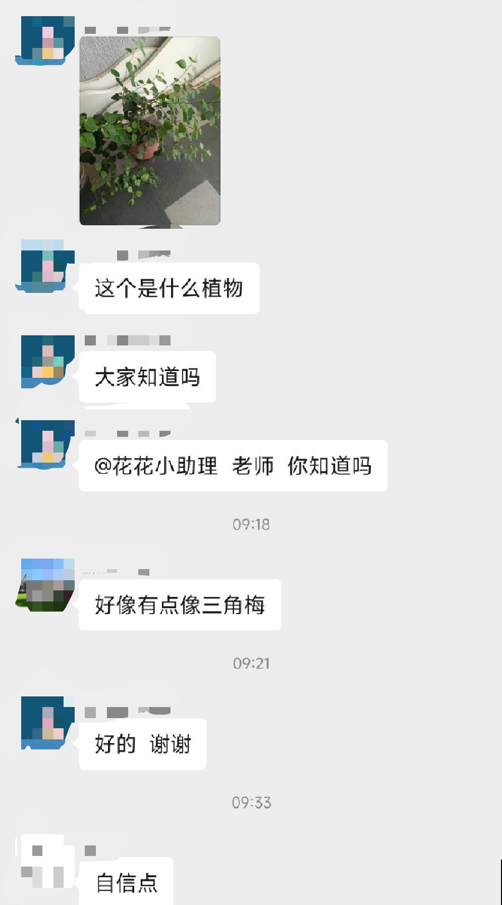 三伏天,花草难度夏,有问题来问我吧! 三伏天,花草难度夏,有问题来问我吧!