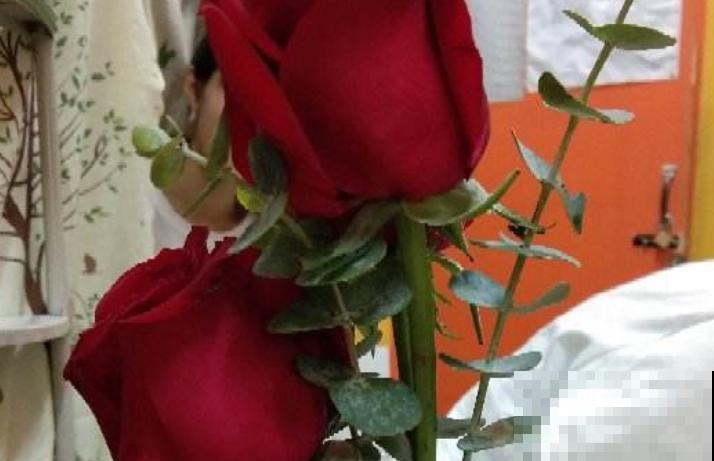 纪念日买花太贵，快来种植这4种花卉，好看还有意义