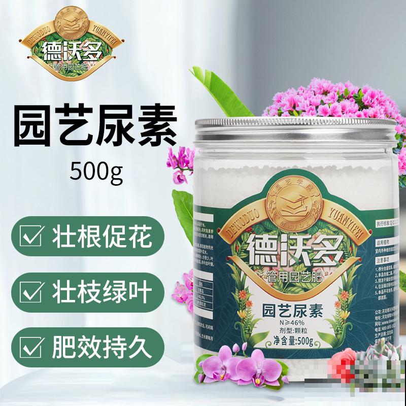 蒜苗叶子发黄，及时补充氮肥，后期长势变好