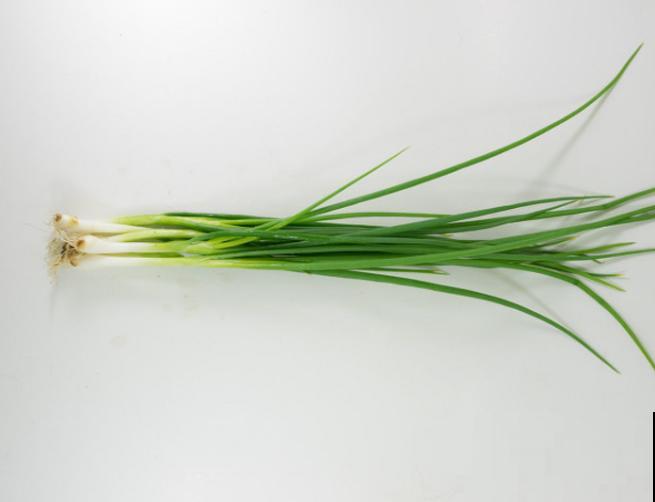 家里种了一排葱，细得像豆芽苗，赶紧晒！