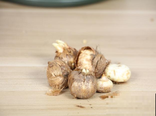 开后的藏红花,赶紧剪一刀,来年还能继续开花 开后的藏红花,赶紧剪一刀,来年还能继续开花