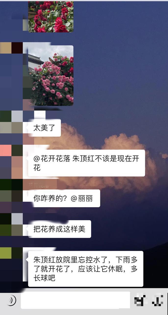 花友交流群,可聊花,晒花,提问! 花友交流群,可聊花,晒花,提问!