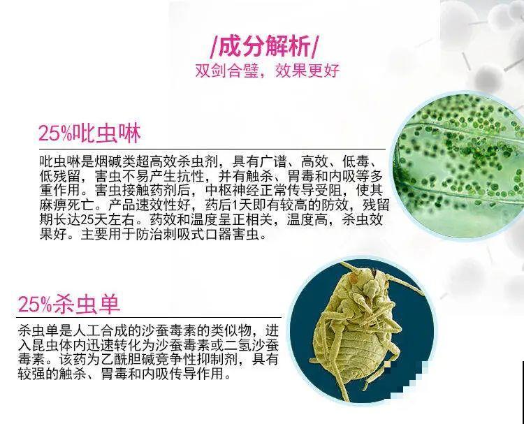 一把白色小豆豆撒土里，啥虫都能杀死，全年不生虫，干干净净
