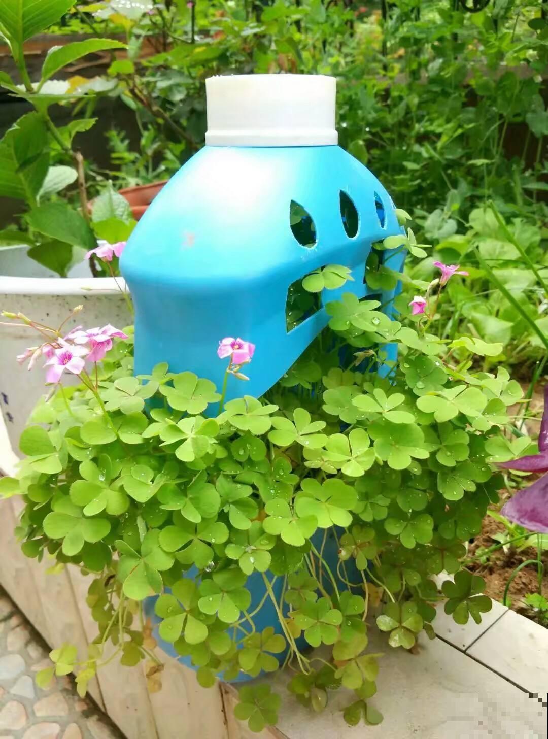 用完的洗衣桶,简单改造一下,又是一个好花盆 用完的洗衣桶,简单改造一下,又是一个好花盆