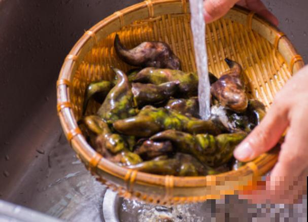 菱角种子留种很简单,学会这3种方法,轻松搞定 菱角种子留种很简单,学会这3种方法,轻松搞定