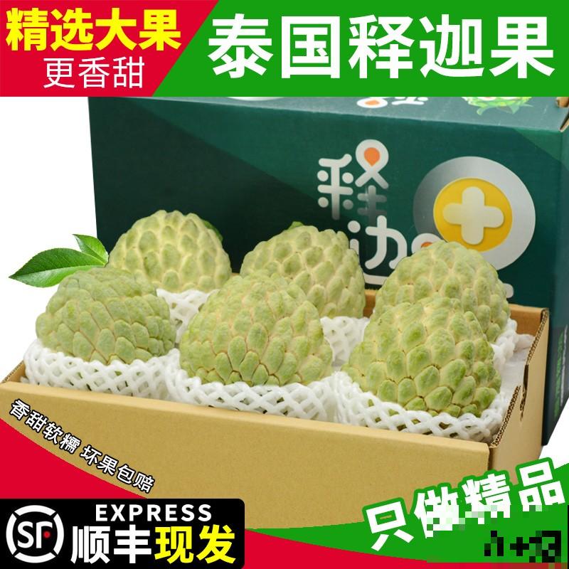 热带水果释迦，养殖注意这4点，轻松打理