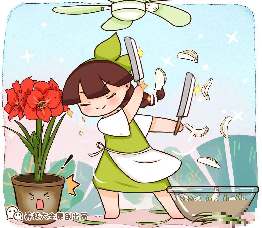 开败了的年宵花，别急着丢，剪一剪，来年还能接着开