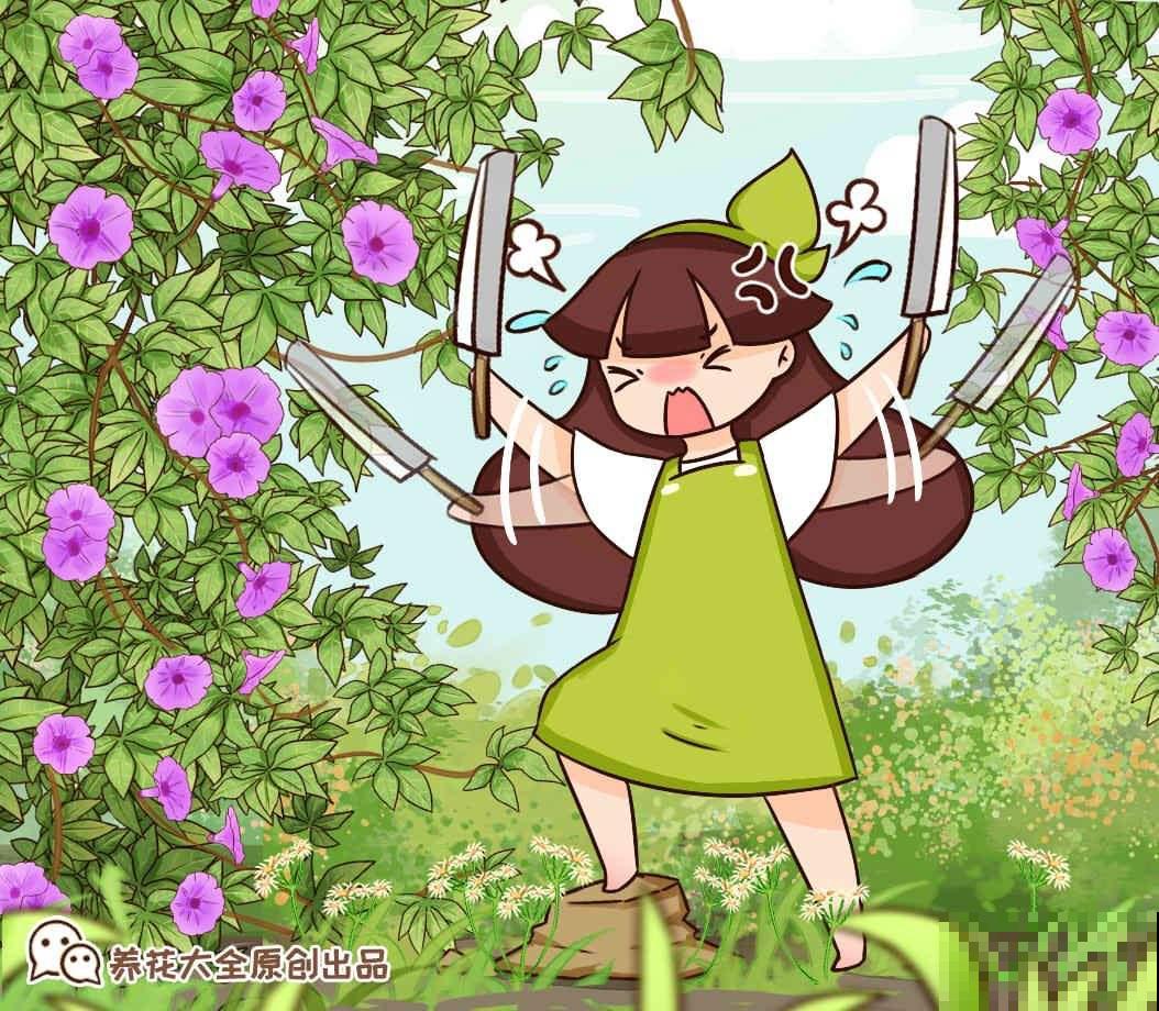 4种“入侵植物”，千万别在家里养，除都除不净，真令人头疼