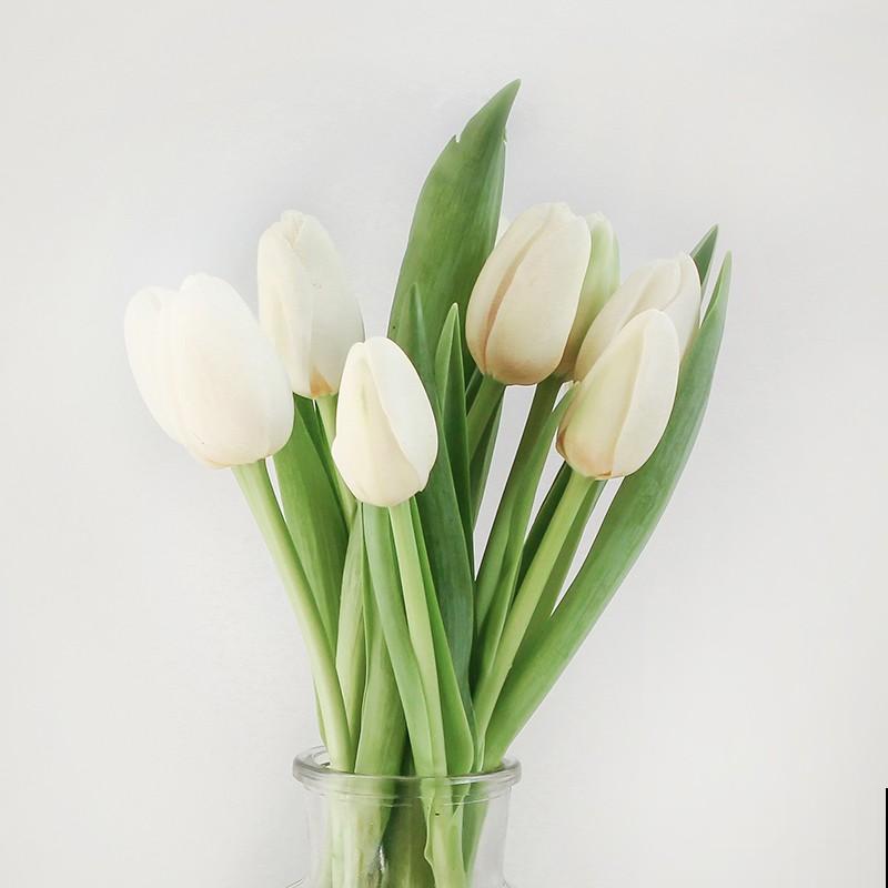 郁金香鲜切花要想水养,这4点要知道,快来试试 郁金香鲜切花要想水养,这4点要知道,快来试试