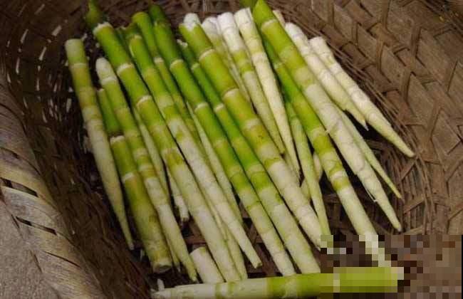 这“3鲜“，春天必须吃，别错过鲜味