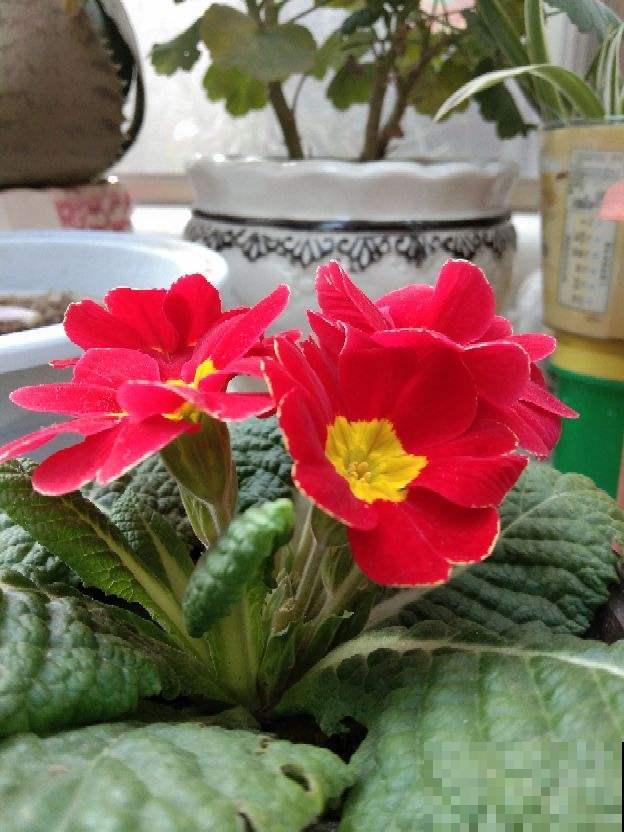 土壤在春天硬的像石头,3个妙招,教你解决土壤板结 土壤在春天硬的像石头,3个妙招,教你解决土壤板结