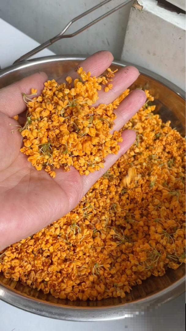 冬天适合喝的花茶，制作零成本，简单又养身