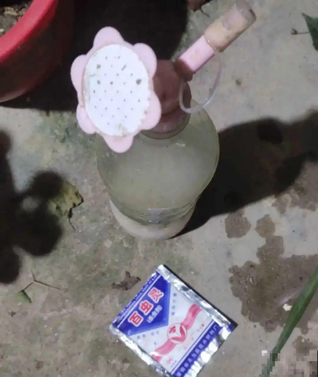 春天请个“护花神”,杀虫效果好,安全放心无污染 春天请个“护花神”,杀虫效果好,安全放心无污染