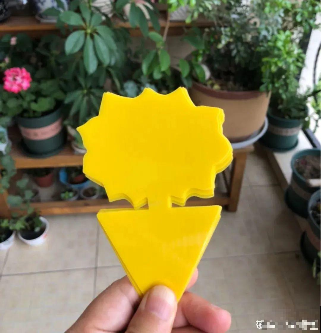 春天请个“护花神”,杀虫效果好,安全放心无污染 春天请个“护花神”,杀虫效果好,安全放心无污染