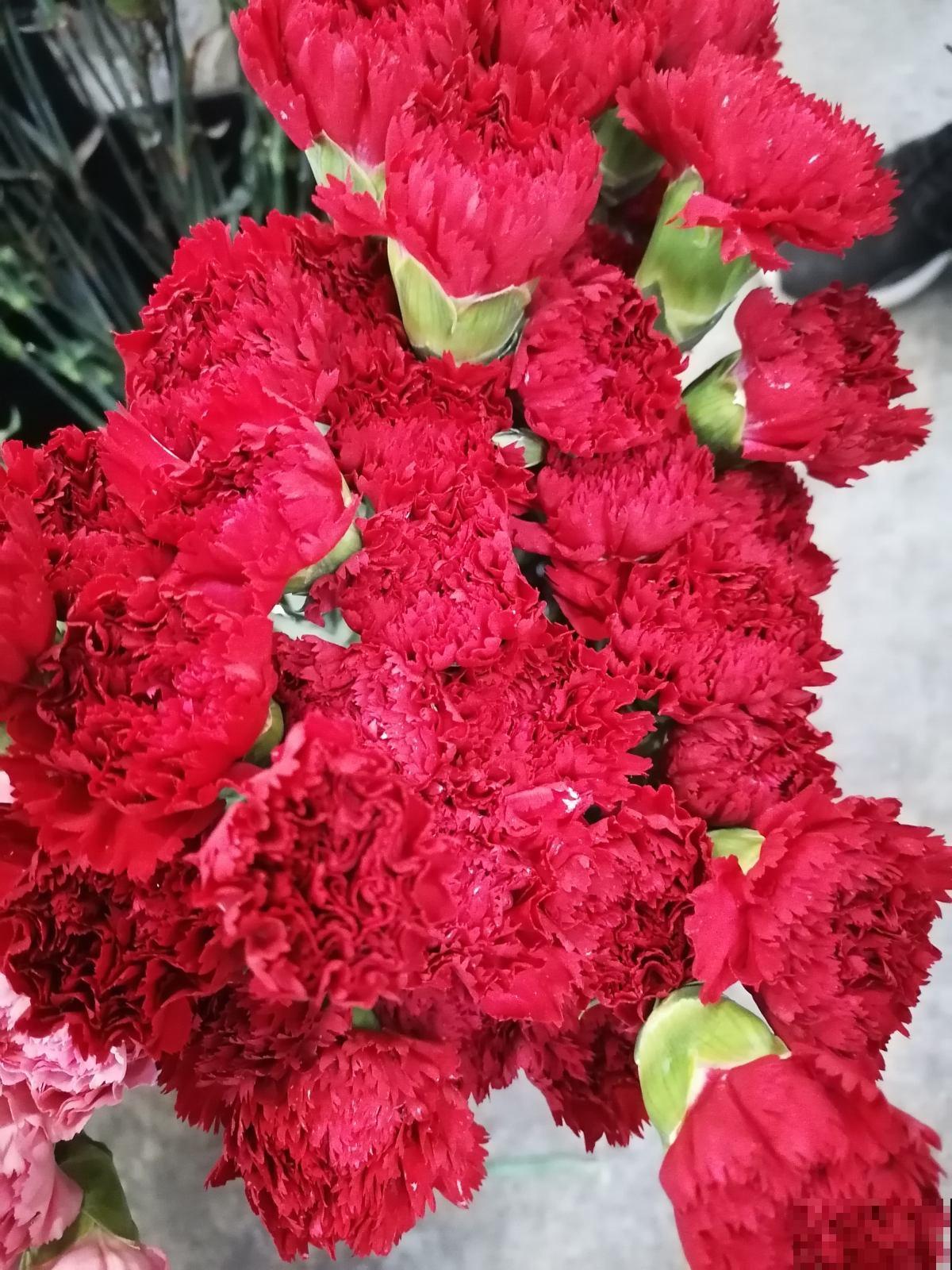 名牌香水的源头香味，就是这9种花香，随便养一种就是赚到