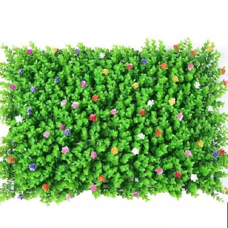 家里养盆彩草，好看好养，记住这4点轻松养殖