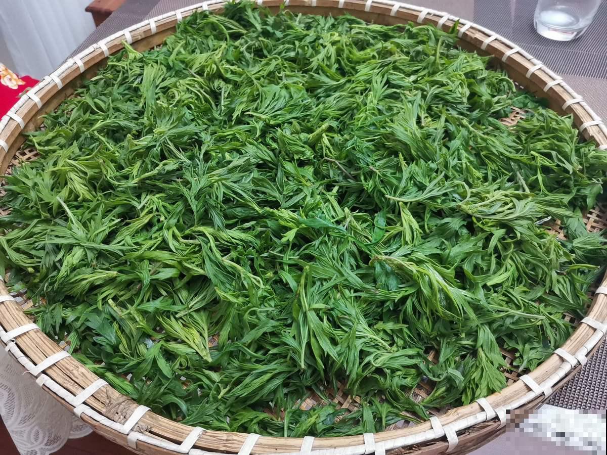 春天必吃的6种野菜,鲜味飘满屋,错过要再等一年 春天必吃的6种野菜,鲜味飘满屋,错过要再等一年