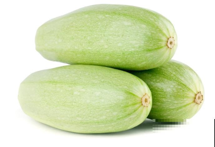 大棚西葫芦的种植简单，记住这4点，想吃不用买