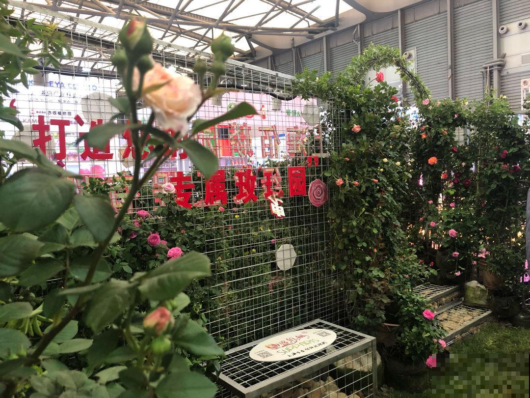 命苦的人爱做的3件事，要想改变就要多积德