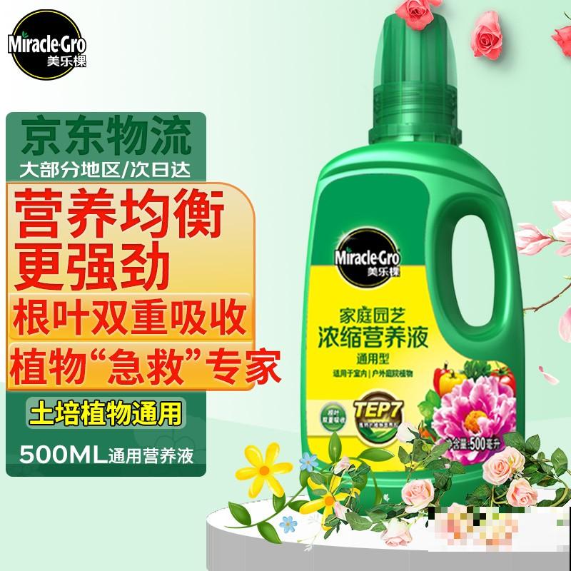 土里埋个“大蒜头”,开出花串子,满屋子都是香味 土里埋个“大蒜头”,开出花串子,满屋子都是香味