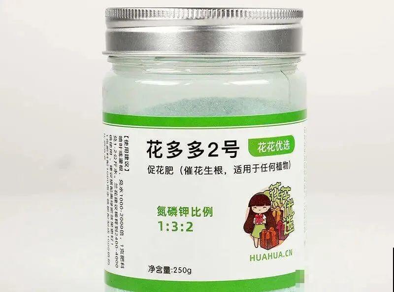 养盆矮牵牛,狠心剪几刀,轻松爆开满盆花,小阳台最爱! 养盆矮牵牛,狠心剪几刀,轻松爆开满盆花,小阳台最爱!