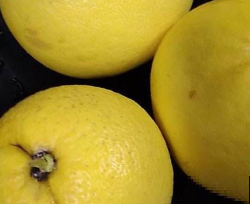 吃完的柚子皮不要扔，学会这3点发酵步骤，施肥不用买