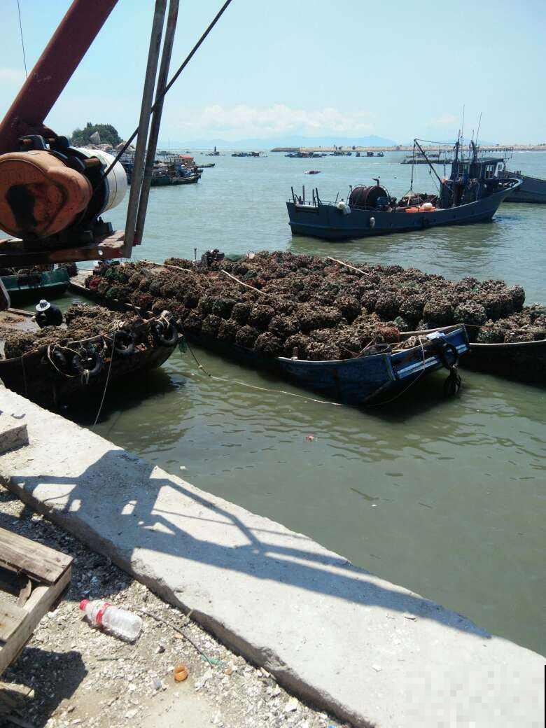 这“3鲜“，春天必须吃，别错过鲜味
